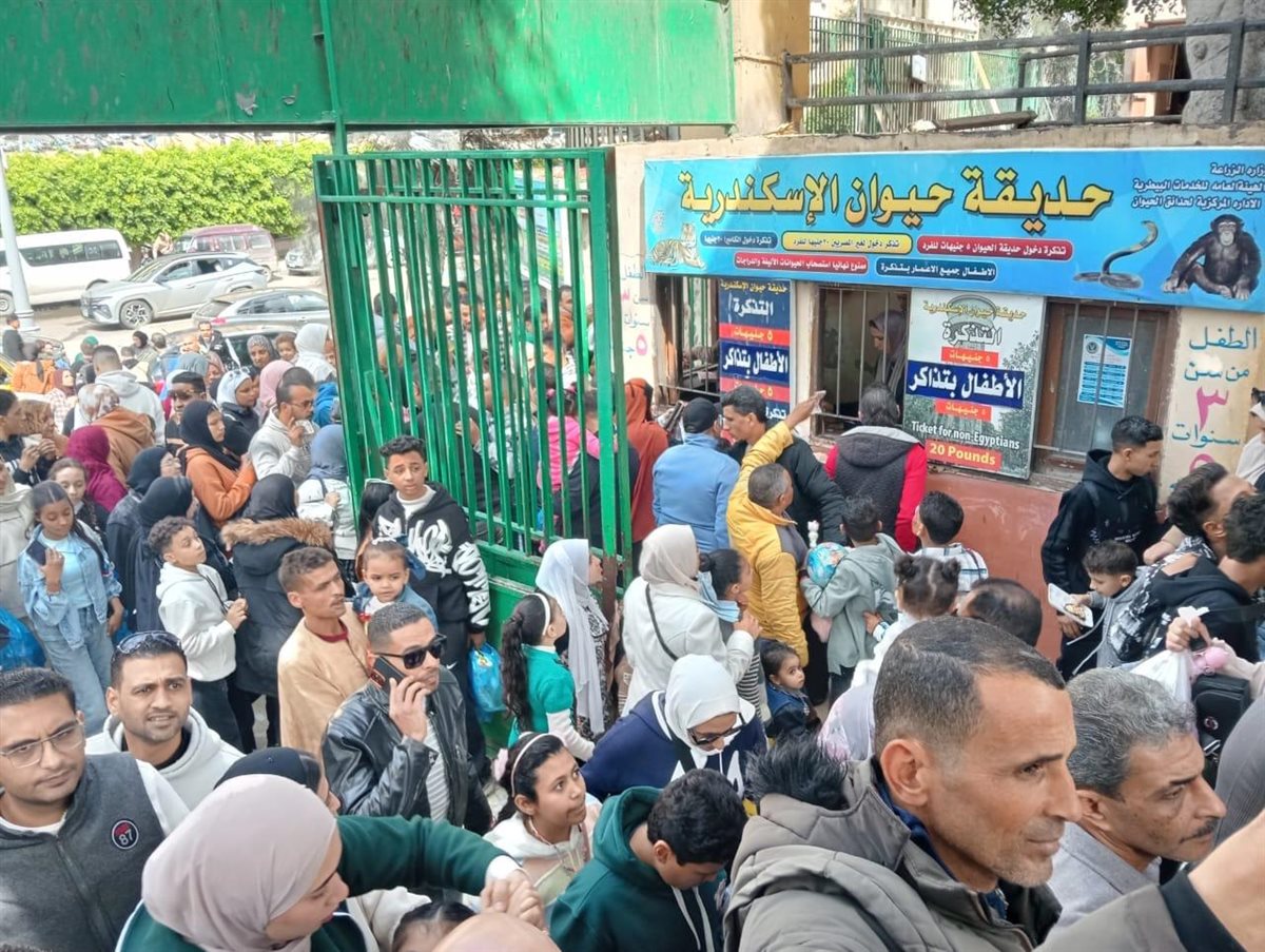 الزراعة: 127 ألف زائر استقبلتهم حدائق الحيوان الأقليمية بالمحافظات والأسماك بالزمالك