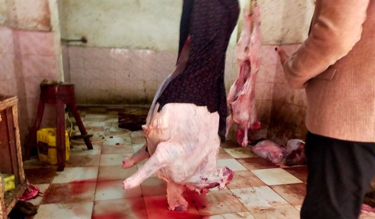ضبط لحوم غير صالحة للاستهلاك الآدمي