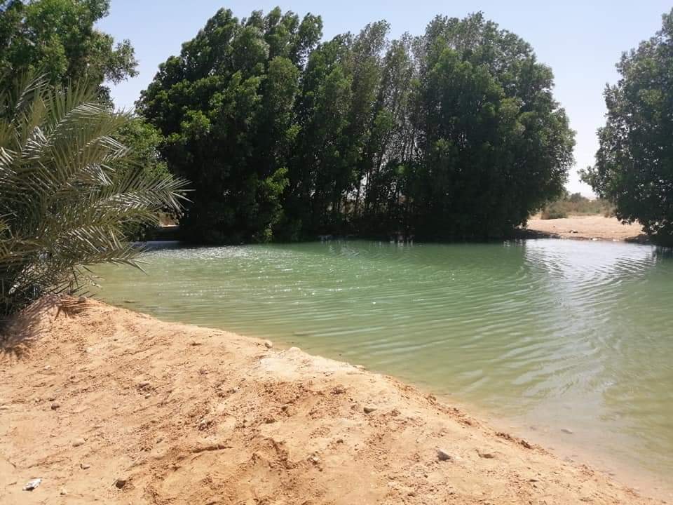 وديان جنوب سيناء 