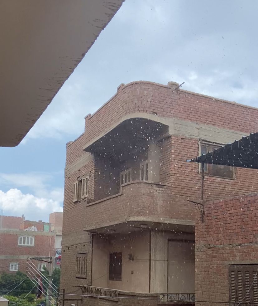 أمطار المنوفية اليوم&nbsp;