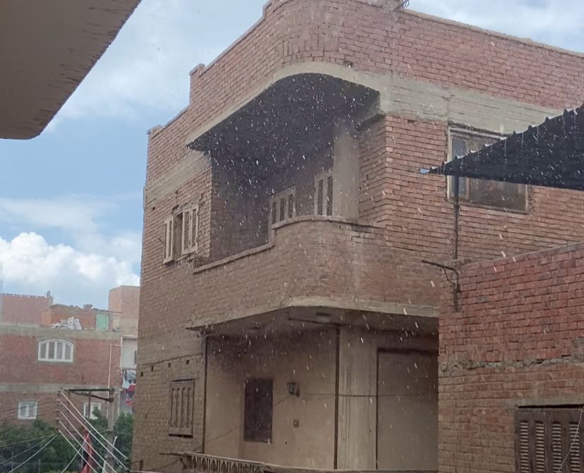أمطار المنوفية اليوم&nbsp;