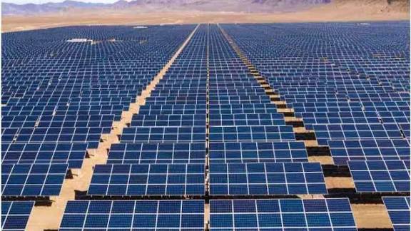 1000519944