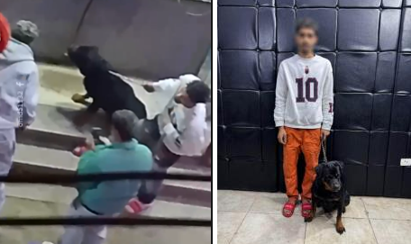 المتهم وكلبه
