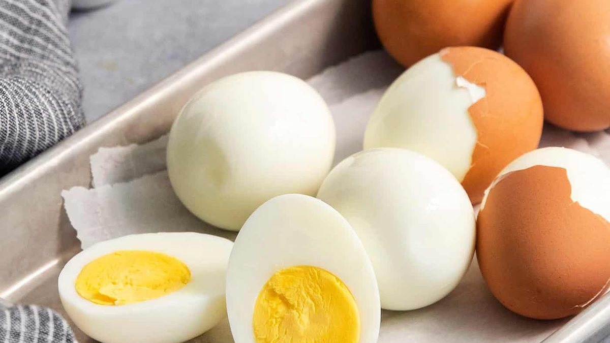سعر البيض اليوم