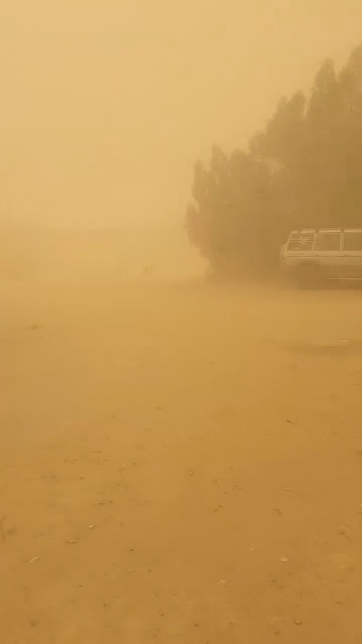 عاصفة ترابية تضرب الوادي الجديد