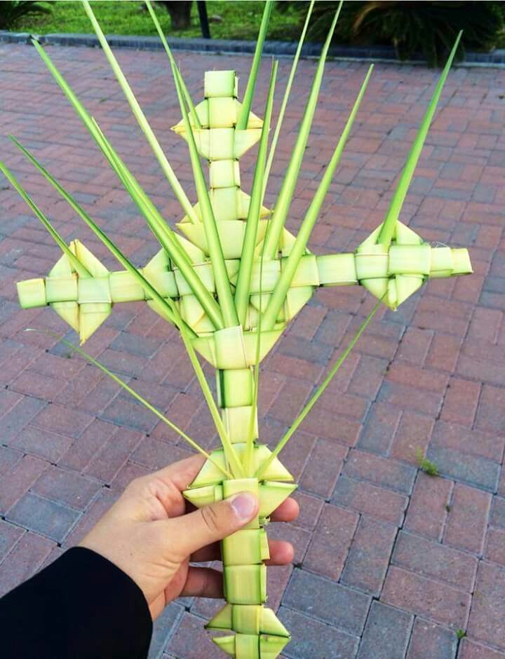 صور تهنئة بحد الزعف