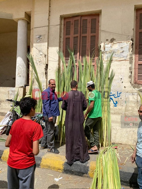أهالي الأقصر يستعدون للإحتفال بأحد الزعف&nbsp;
