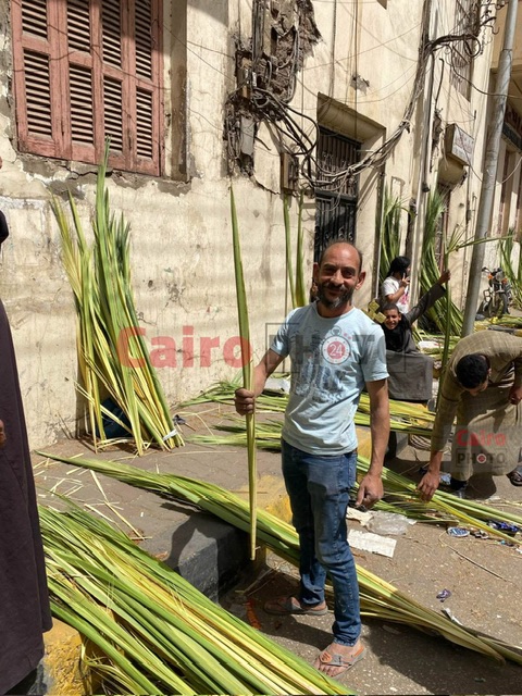 أشكال الزعف