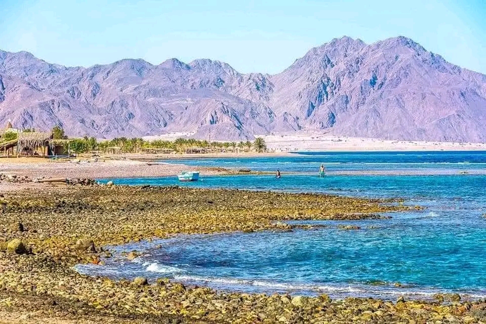 1000530687