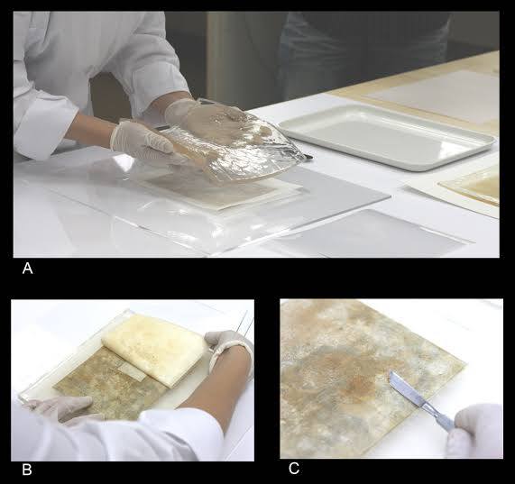 تقنيات Hydrogels تغيّر مستقبل ترميم الوثائق الأثرية