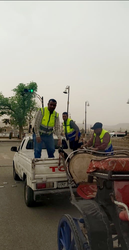 ضبط عربات الحنطور المخالفة&nbsp;