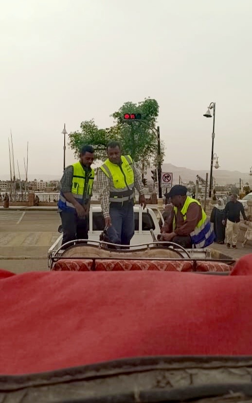 ضبط عربات الحنطور المخالفة&nbsp;