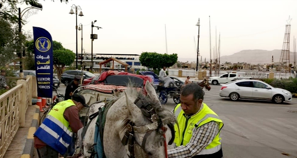 ضبط عربات الحنطور المخالفة&nbsp;