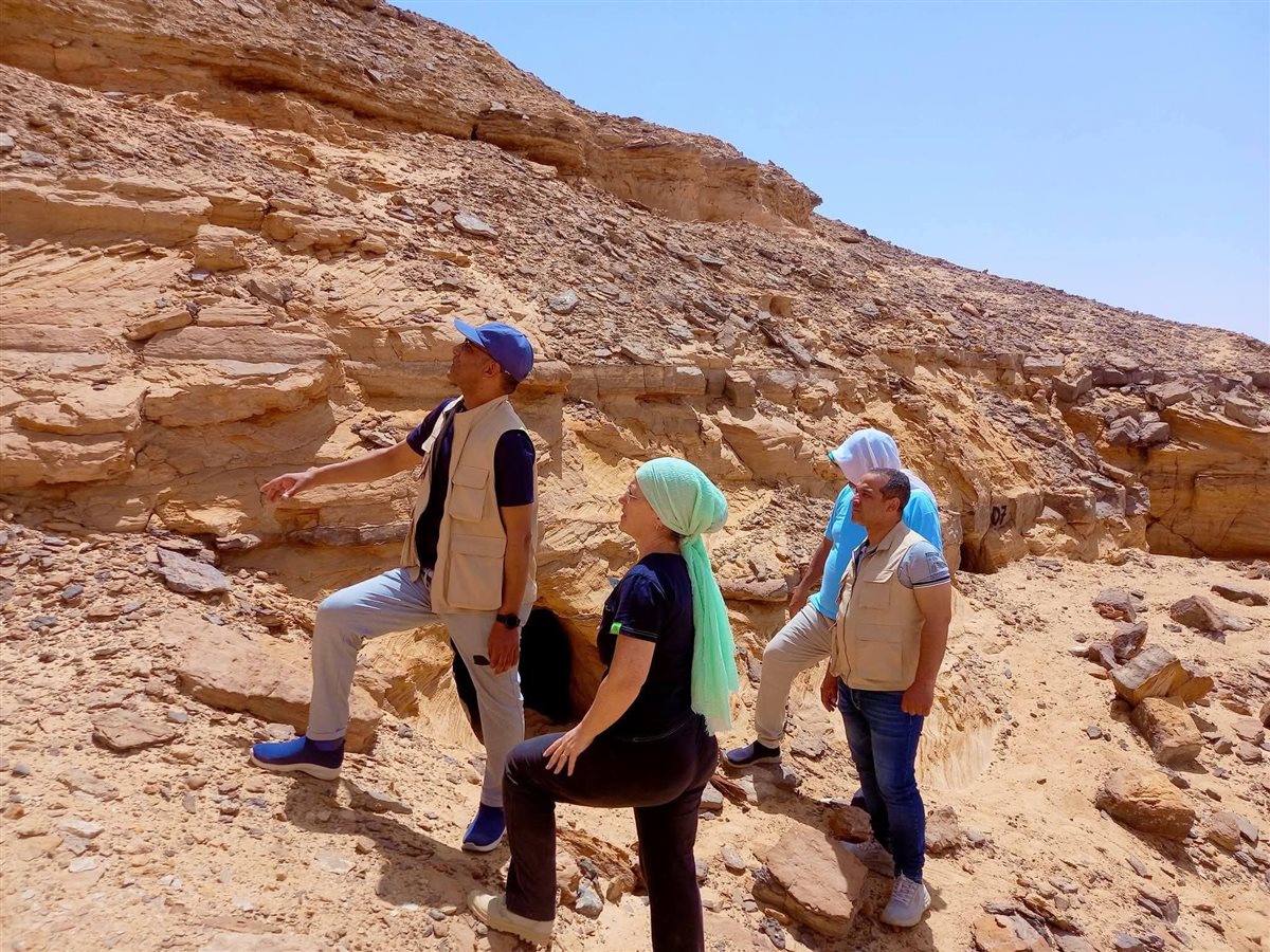 البعثة الايطالية في الوادي الجديد