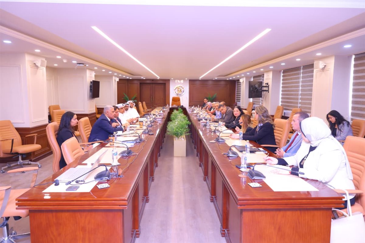 نائبة وزيرة التضامن
