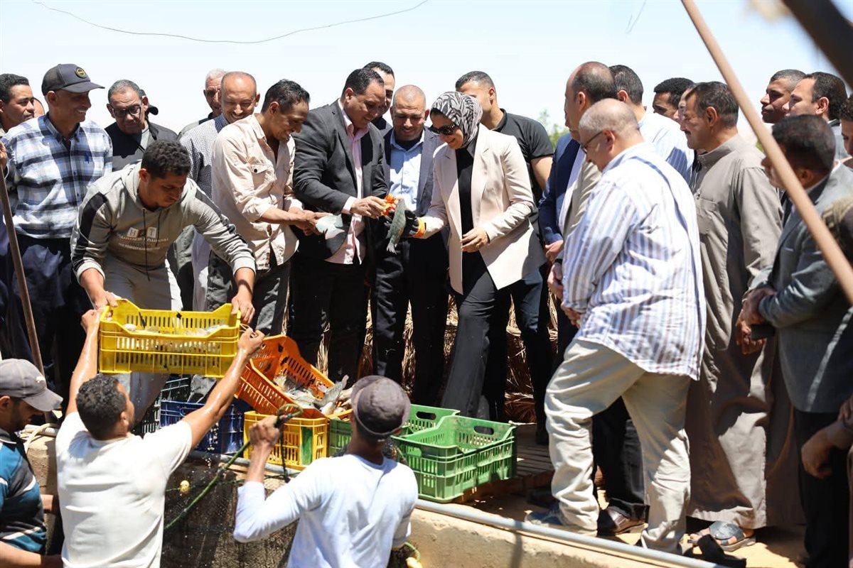 جانب من جولة محافظ الوادى الجديد