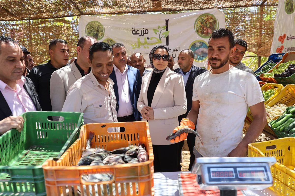 جانب من جولة محافظ الوادى الجديد