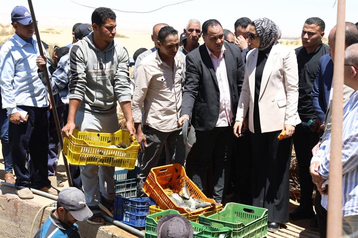 جانب من جولة محافظ الوادى الجديد