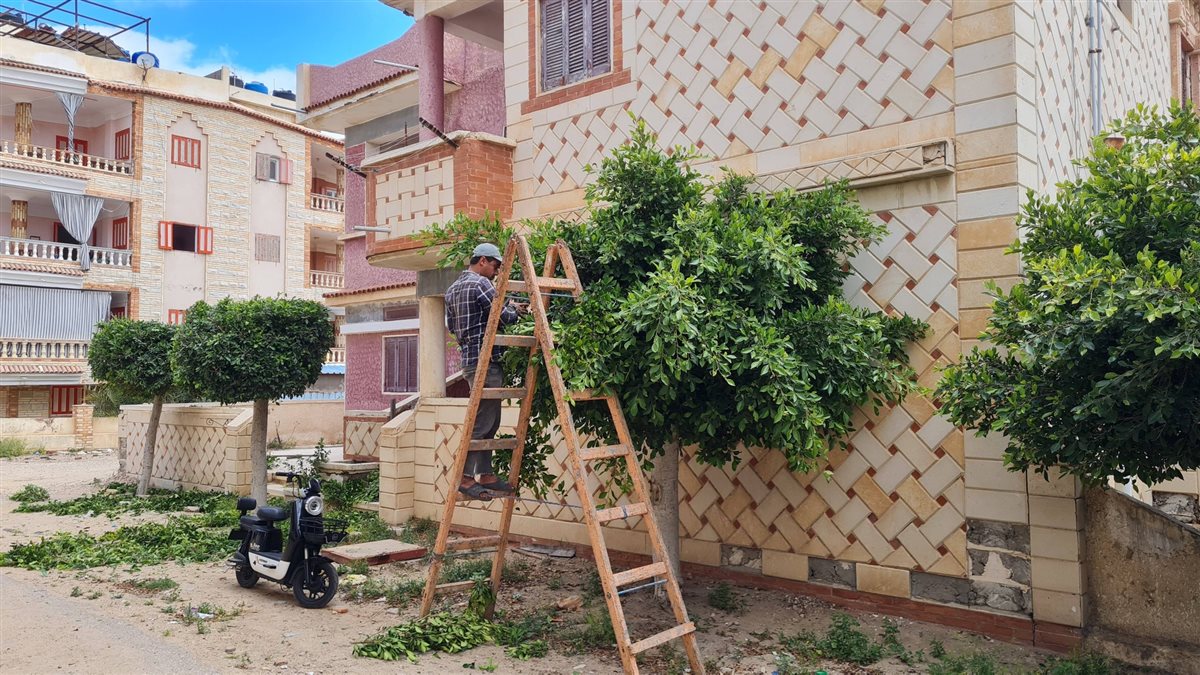 الإستعدات لشم النسيم بمصيف بلطيم&nbsp;