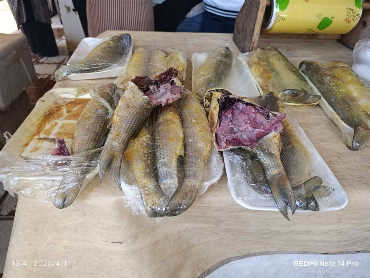 ضبط منتجات فاسدة ببورسعيد 