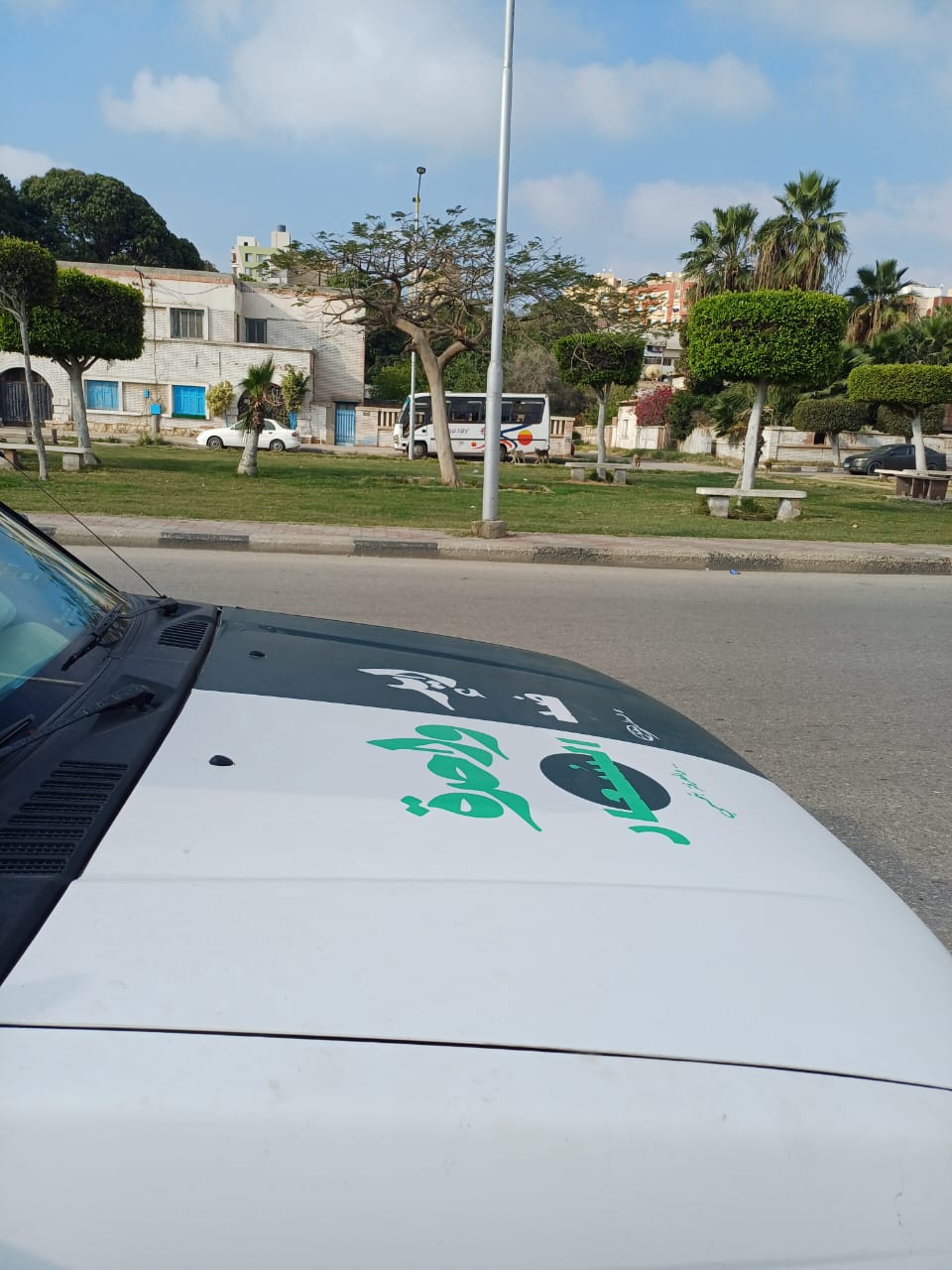 التعامل مع الكلاب الضالة ببورسعيد 