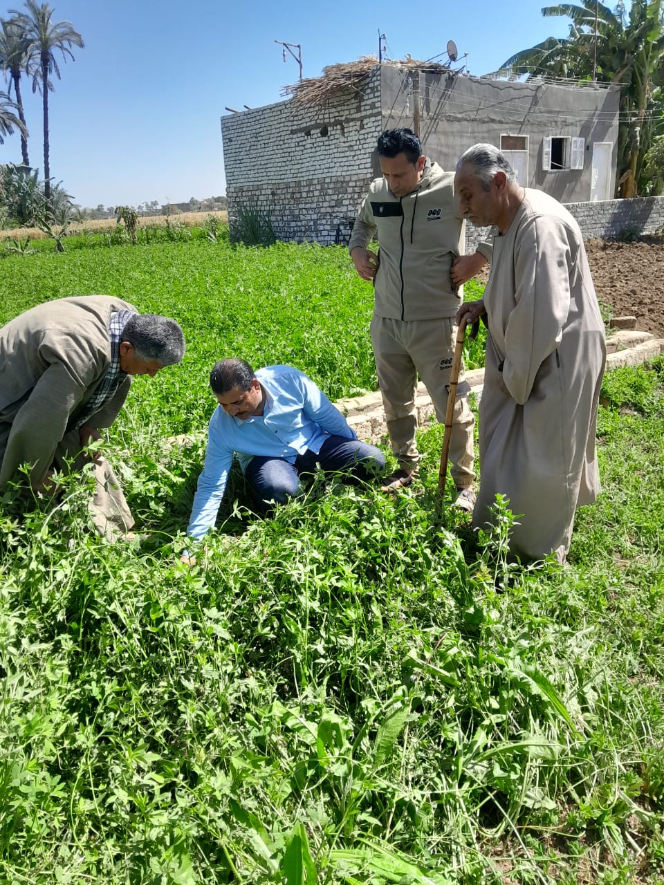 مديرية الزراعة في قرية شطورة