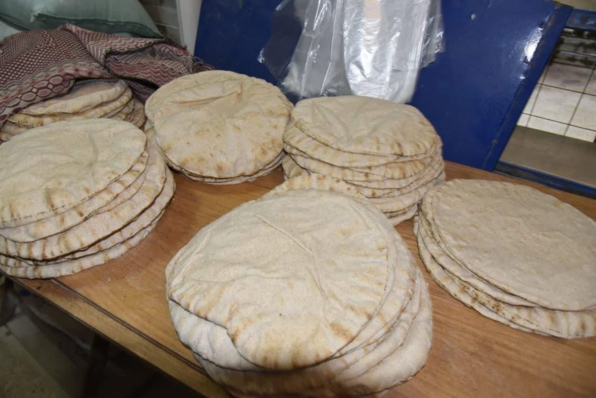 حملة على المخابز البلدية ببورسعيد 