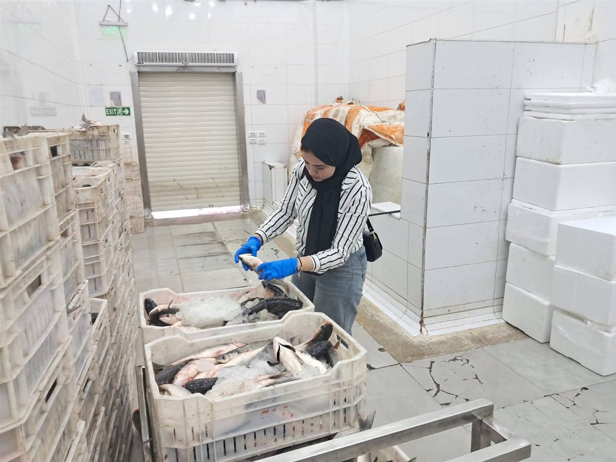 جانب من حملة الطب البيطري بكفر الشيخ&nbsp;