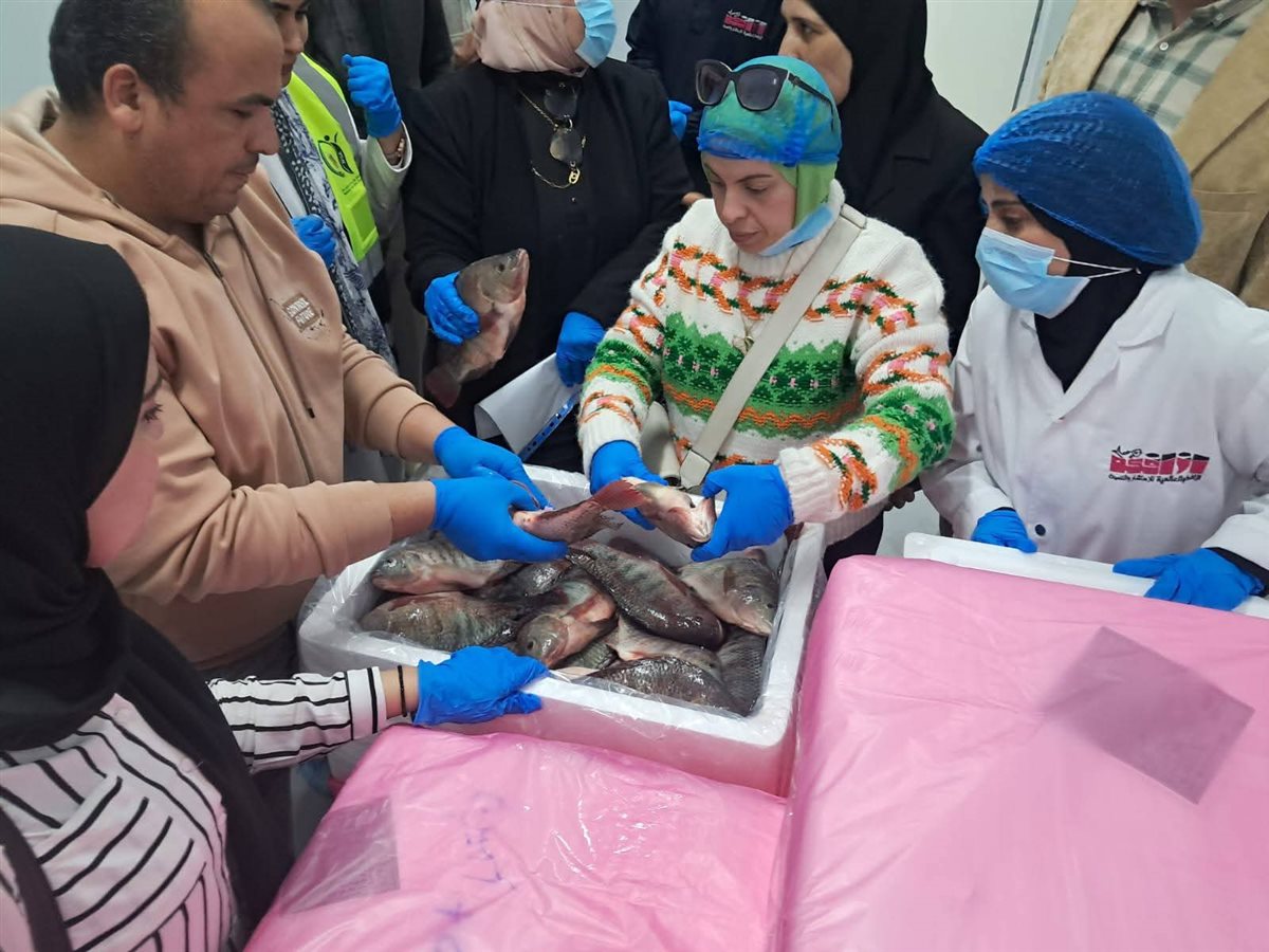 جانب من حملة الطب البيطري بكفر الشيخ