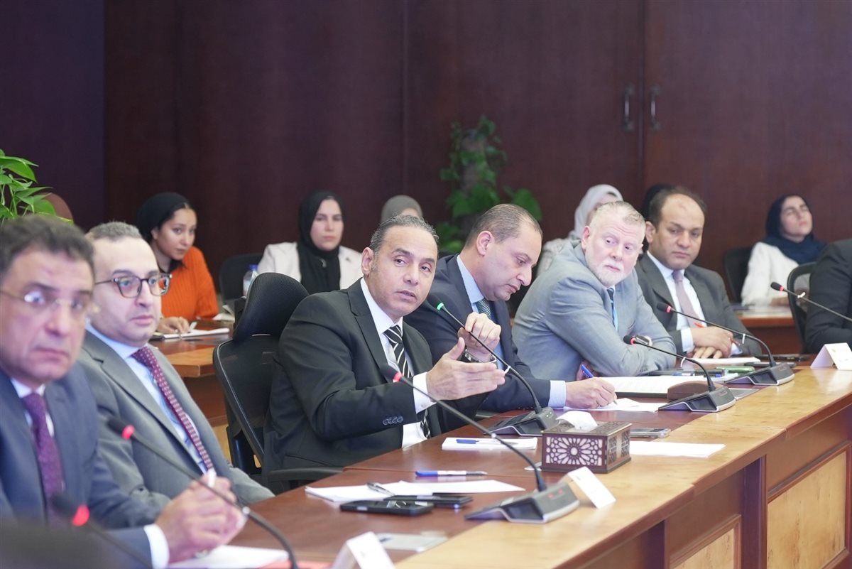 الرقابة المالية تبحث مع شركات تمويل المشروعات المتوسطة والصغيرة ومتناهية الصغر تطوير آليات التمويل