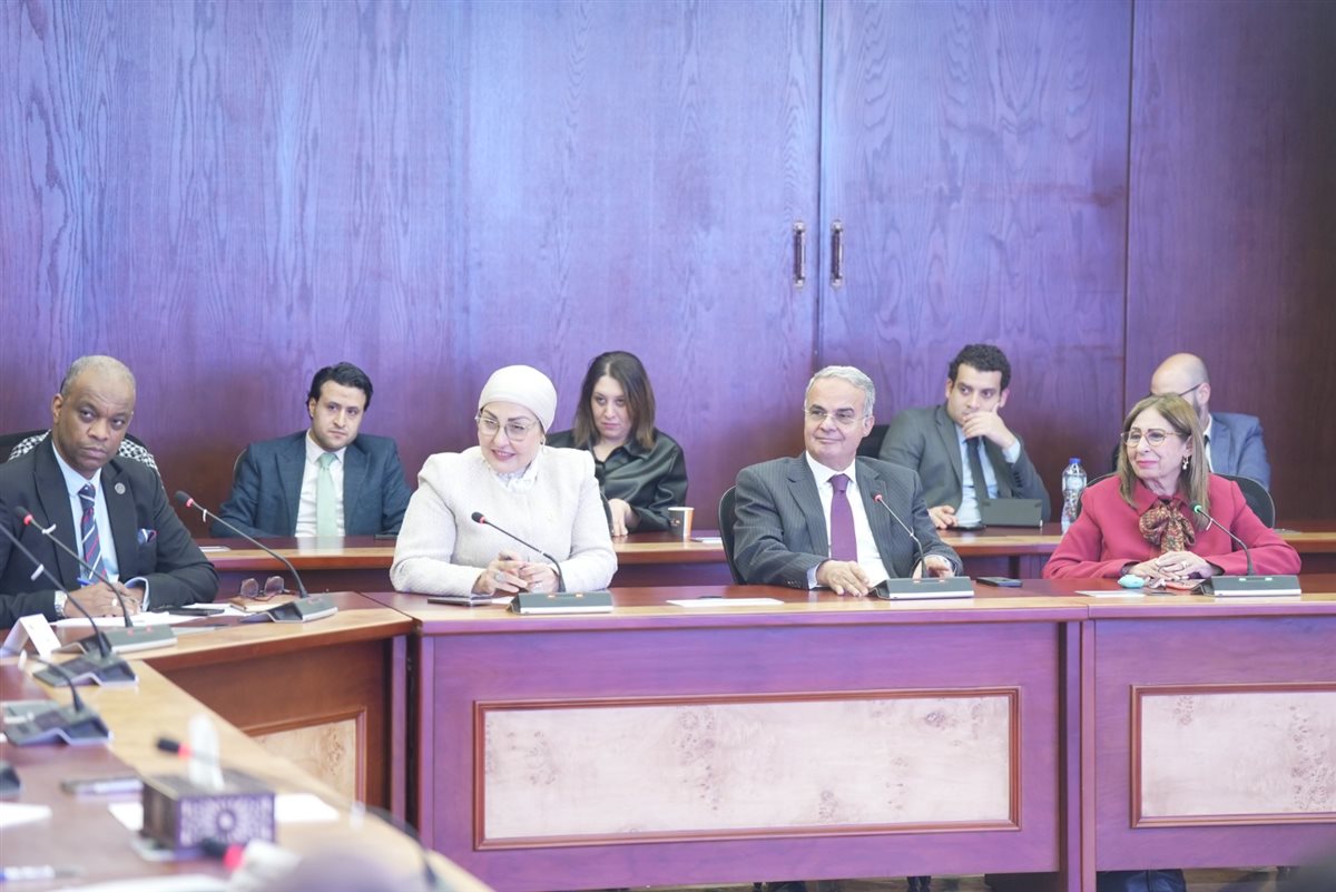 الرقابة المالية تبحث مع شركات تمويل المشروعات المتوسطة والصغيرة ومتناهية الصغر تطوير آليات التمويل