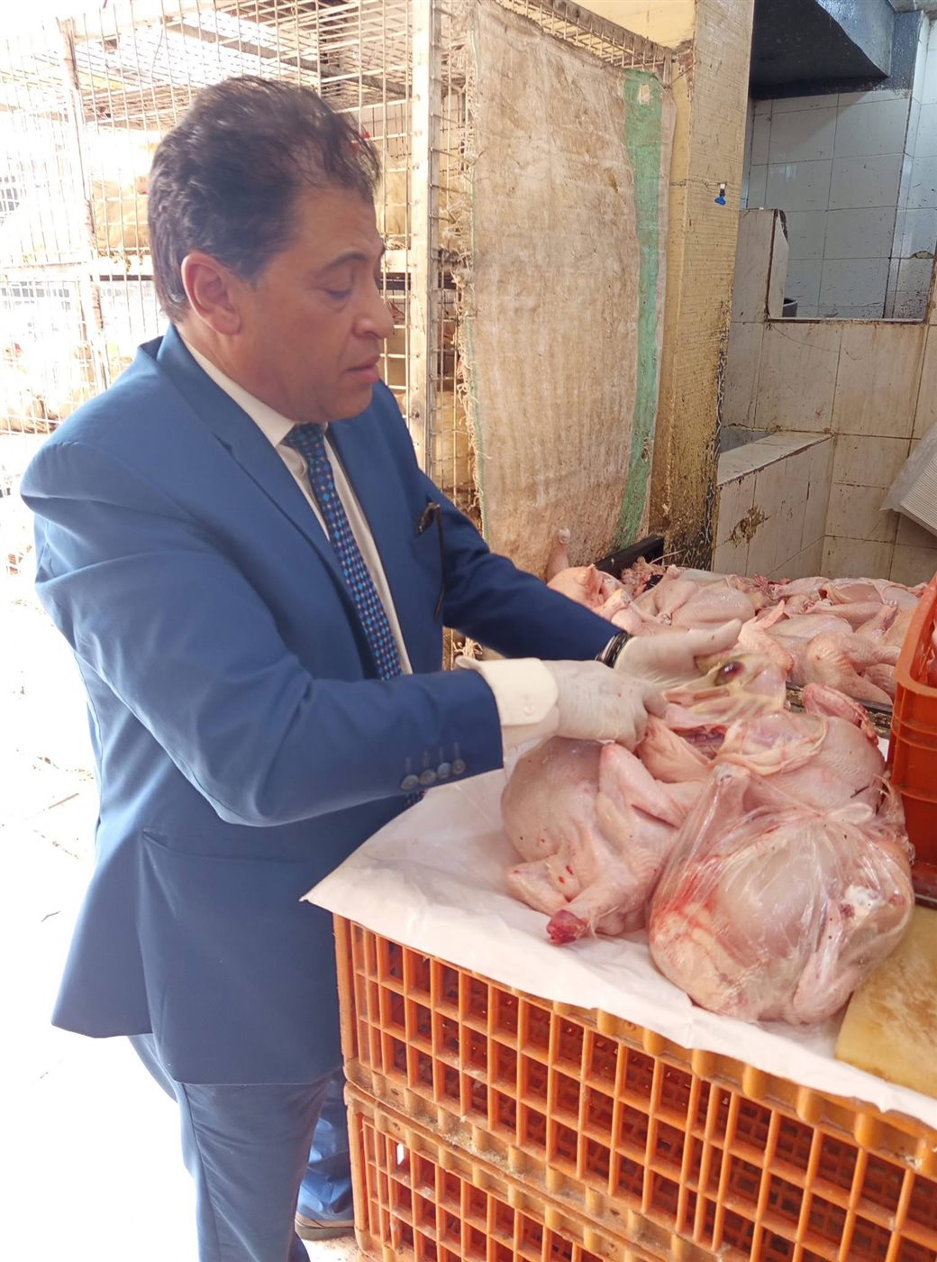 ضبط لحوم فاسدة بالأقصر