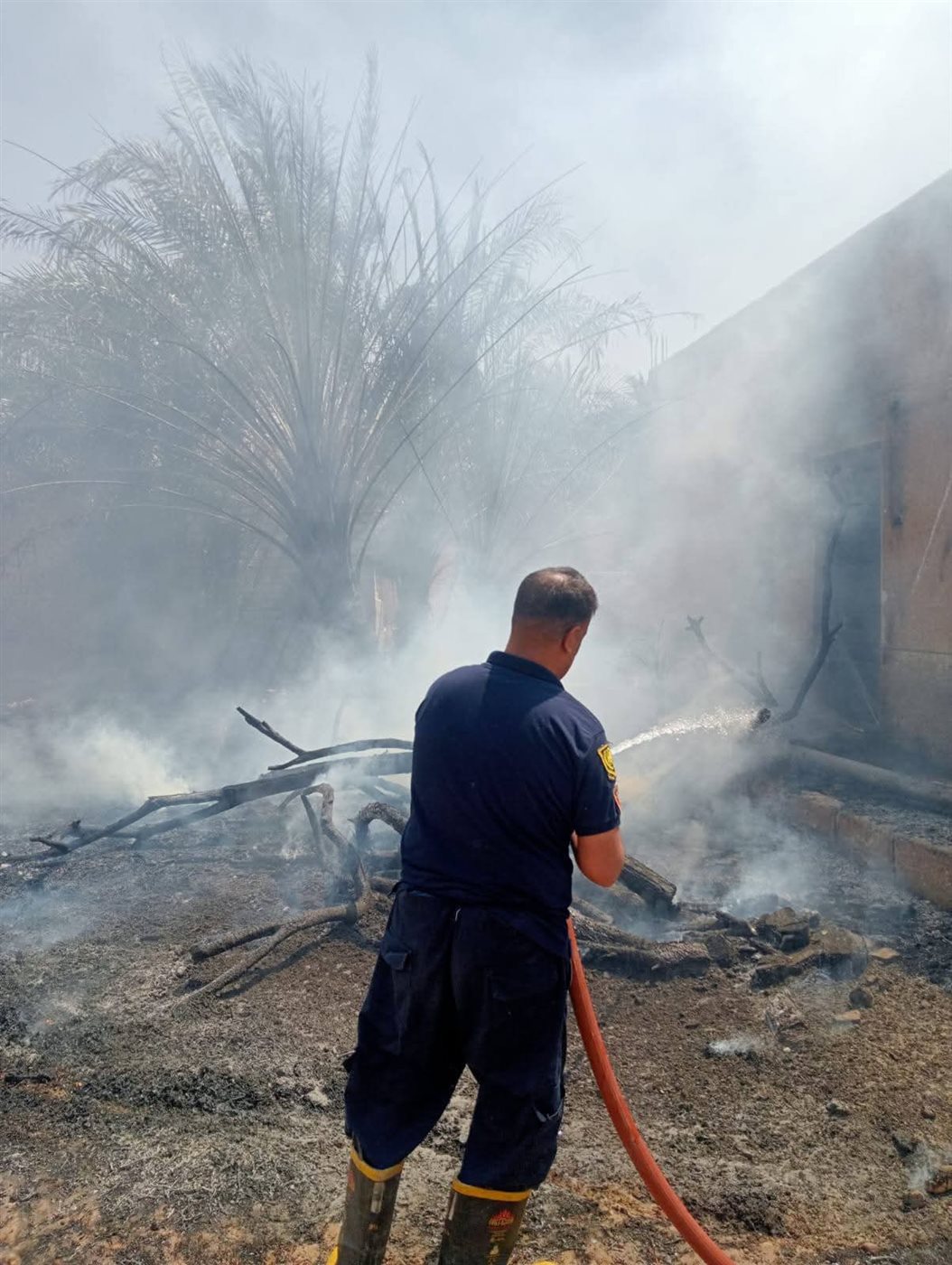 &nbsp;حريق مزارع نخيل في الداخلة
