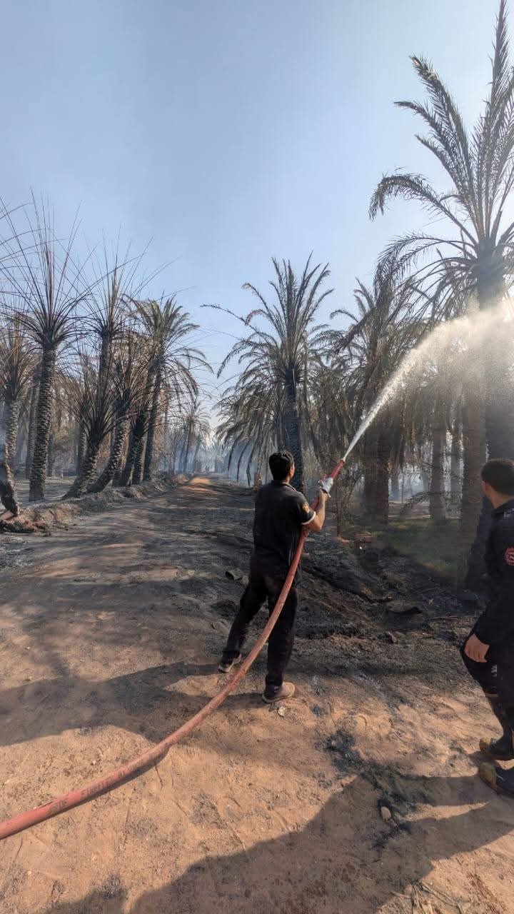 حريق بمزارع نخيل في الوادى الجديد