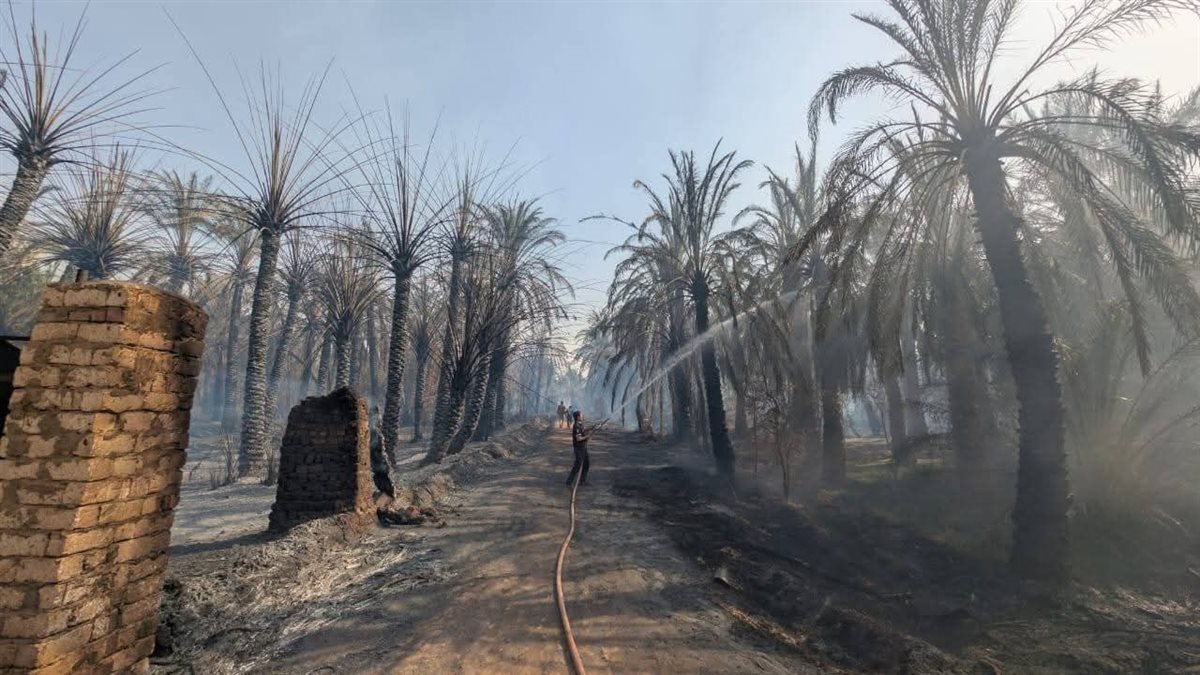 حريق بمزارع نخيل في الوادى الجديد