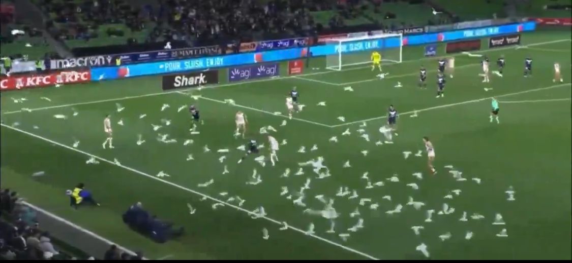سرب طيور يقتحم مباراة في الدوري الأسترالي&nbsp;