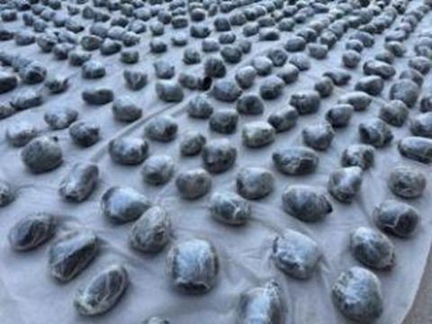 المضبوطات&nbsp;
