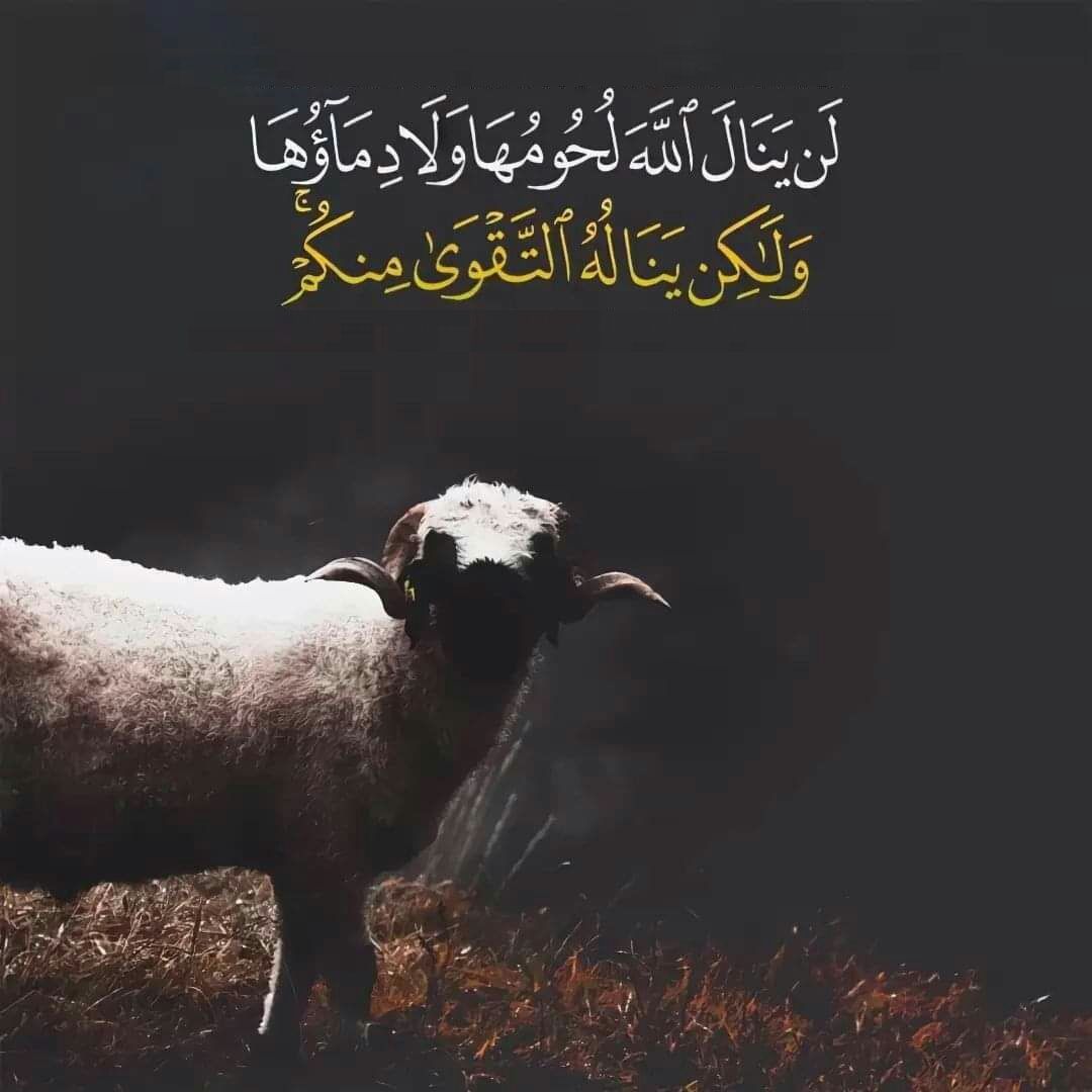 أفضل وقت لذبح الأضحية