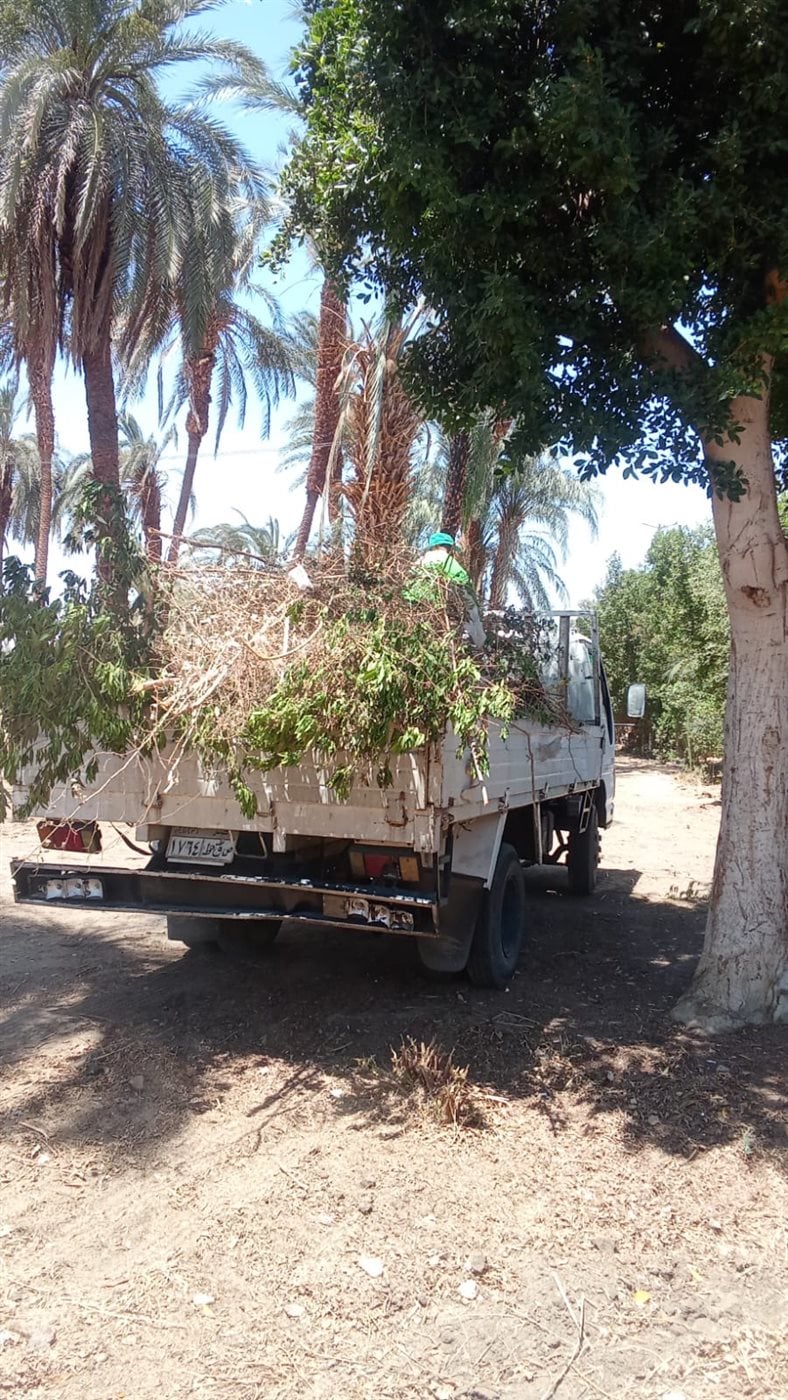 حملات تشجير ونظافة بالأقصر&nbsp;