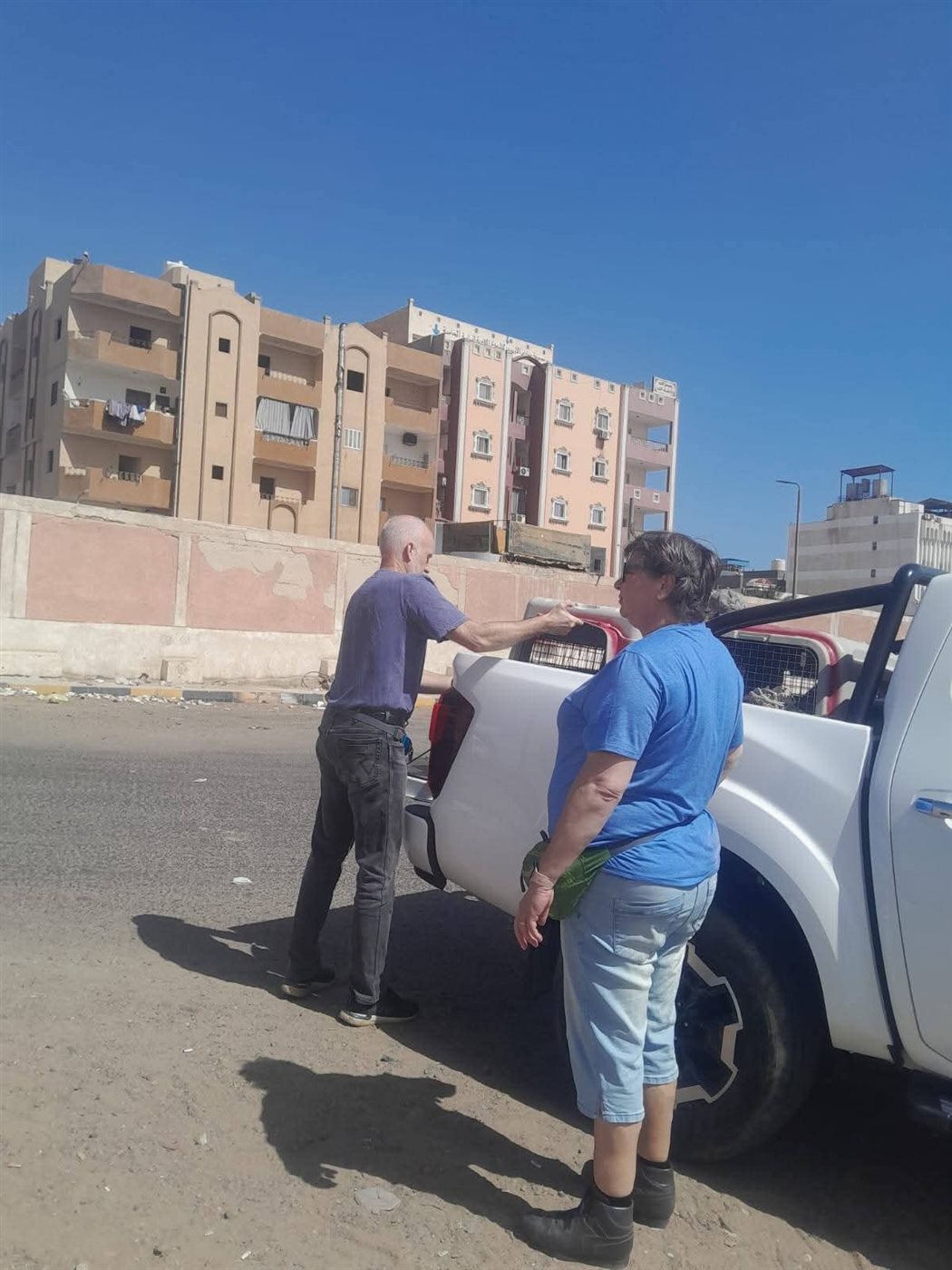 حملة لإجراء عمليات تعقيم للكلاب الضالة بالغردقة 