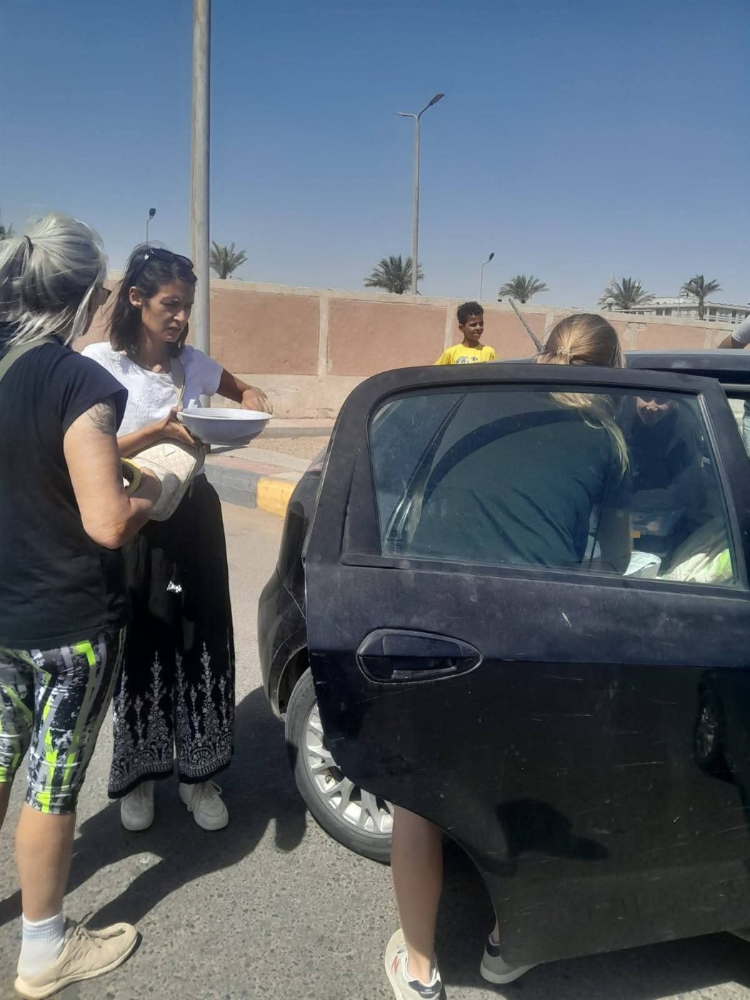 حملة لإجراء عمليات تعقيم للكلاب الضالة بالغردقة 