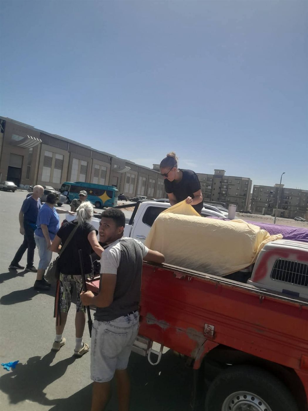 حملة لإجراء عمليات تعقيم للكلاب الضالة بالغردقة 