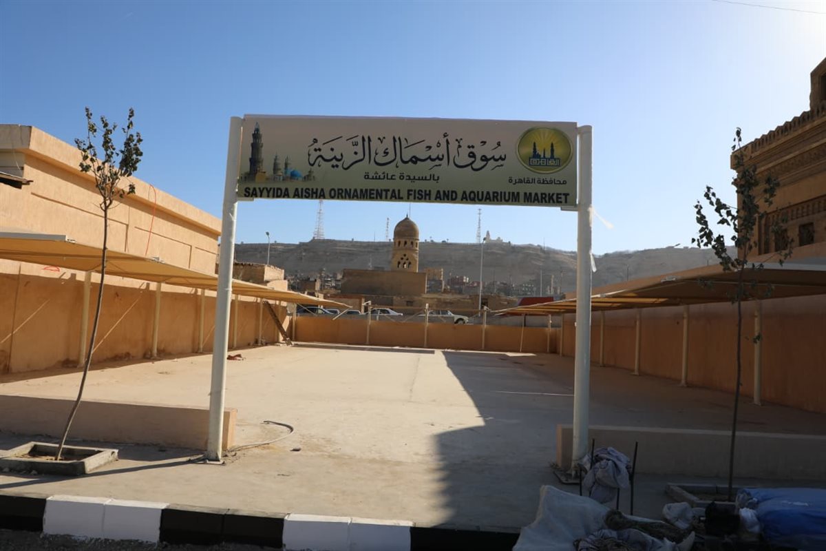 نقل سوق الحمام إلى موقع حضاري بالسيدة عائشة