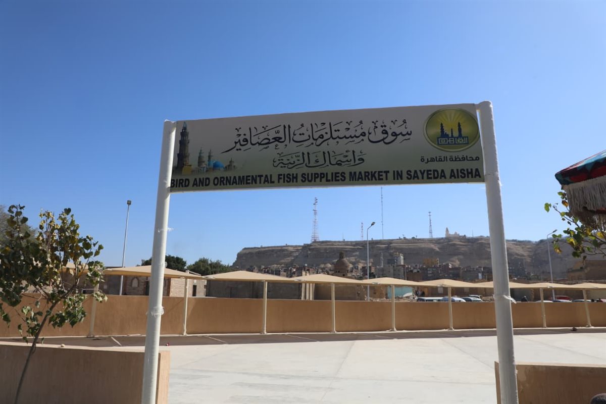 نقل سوق الحمام إلى موقع حضاري بالسيدة عائشة