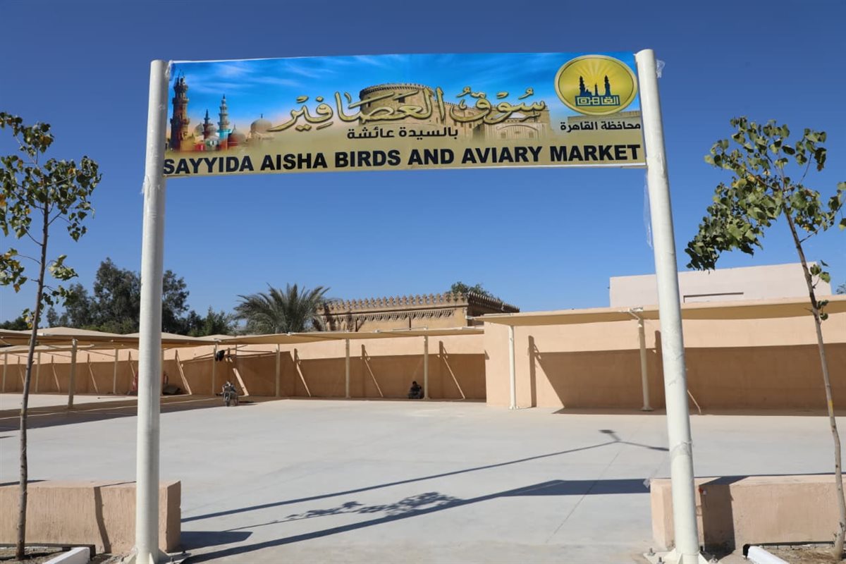 نقل سوق الحمام إلى موقع حضاري بالسيدة عائشة