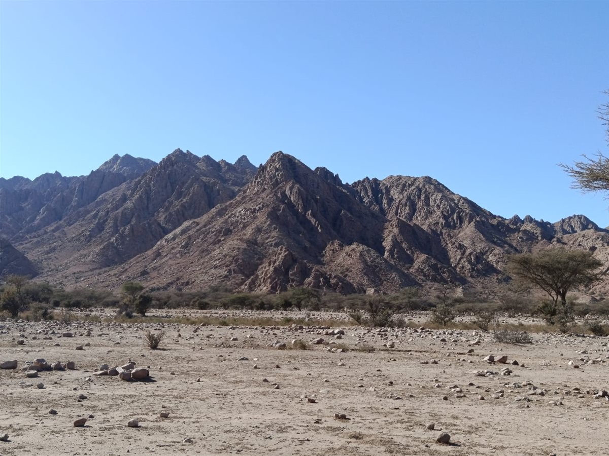 محمية جبل علبة بالبحر الأحمر 