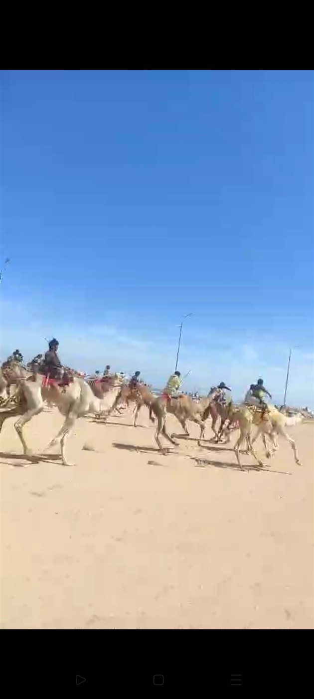 1000554933