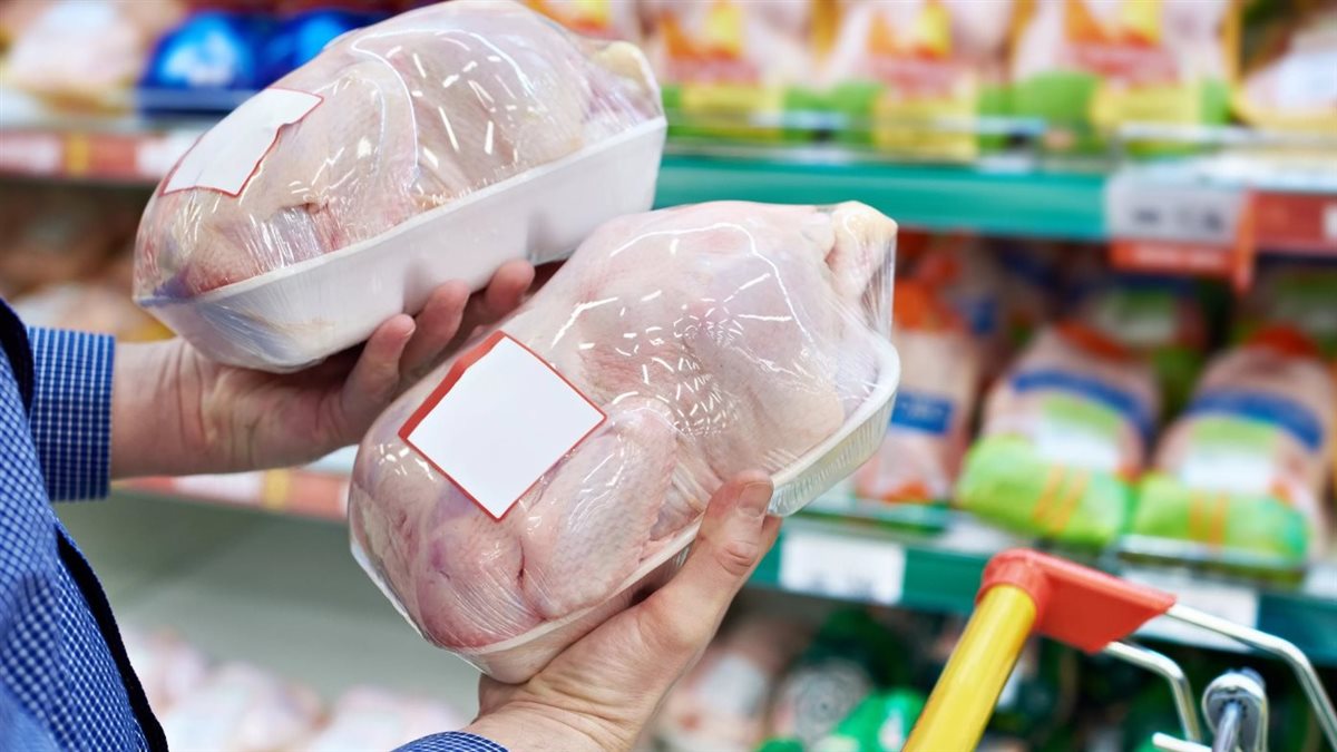 أسعار الدواجن البيضاء اليوم