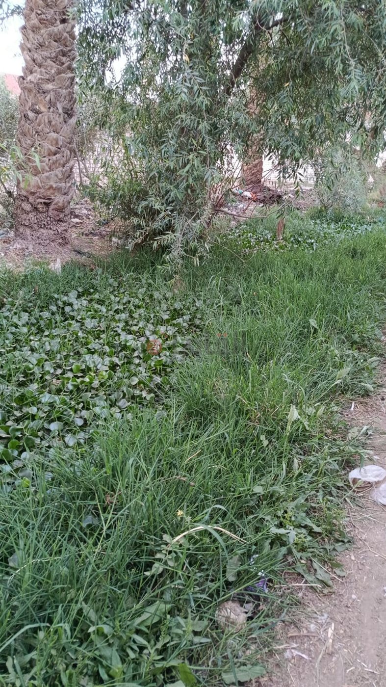 1001256157