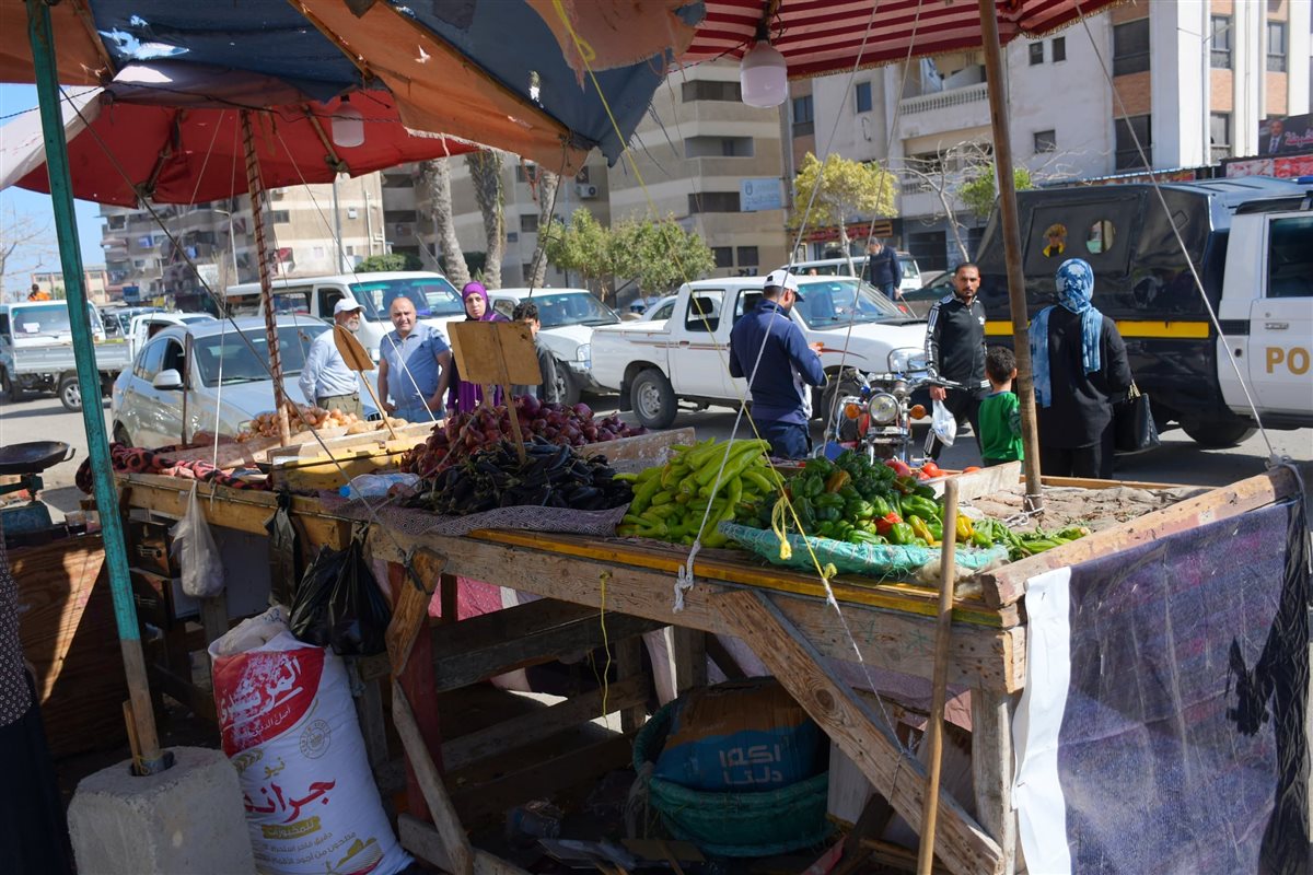 محافظ بورسعيد 